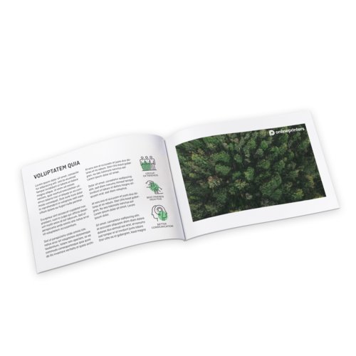 Catálogos encolados en papeles ecológicos/naturales, formato horizontal, 24 x 17 cm 4