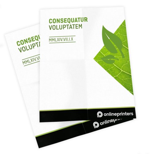 Carteles en papeles ecológicos/naturales, A4, impresión a una cara 3