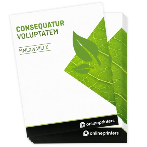 Carteles en papeles ecológicos/naturales, A4, impresión a una cara 4