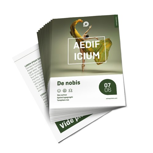 Flyer de papel, varias pginas.