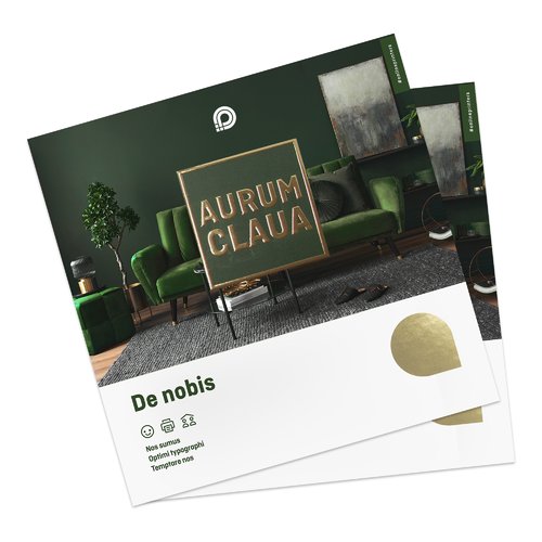 Tarjetas plegables de papel con estampado en caliente opcional.