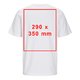 Camiseta blanca de algodn con mangas cortas y cuello redondo, corte unisex.