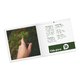 Tarjetas plegables de papel con barniz UV parcial.