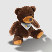 Osito de peluche pap