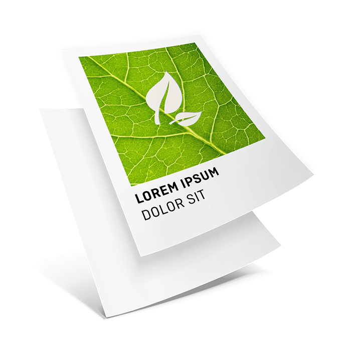 Flyers en papeles ecolgicos/naturales 4/0