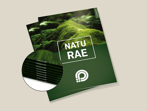 Revistas en papeles ecológicos/naturales
