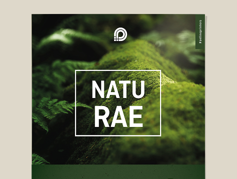 Carteles en papeles ecológicos/naturales